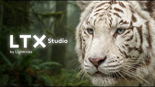 New Model Tutorial: LTX V2 | FLORA AI
