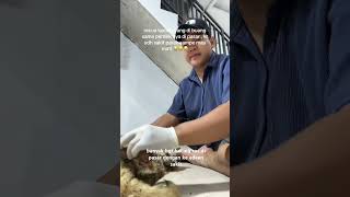 buat tmn2 yang mau sedekah buat kucing bisa cek bio profil aku ya tmn2 bismilah ada rezeki amin