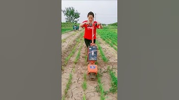 Electric weeding& trenching machine #Treading machine # Elderly micro-tillage agricultural machinery