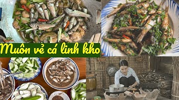 Ấn tượng các kiểu CÁ LINH KHO - Kho lá gừng, kho mắm ruốc, kho mía, kho me | Đặc sản miền sông nước