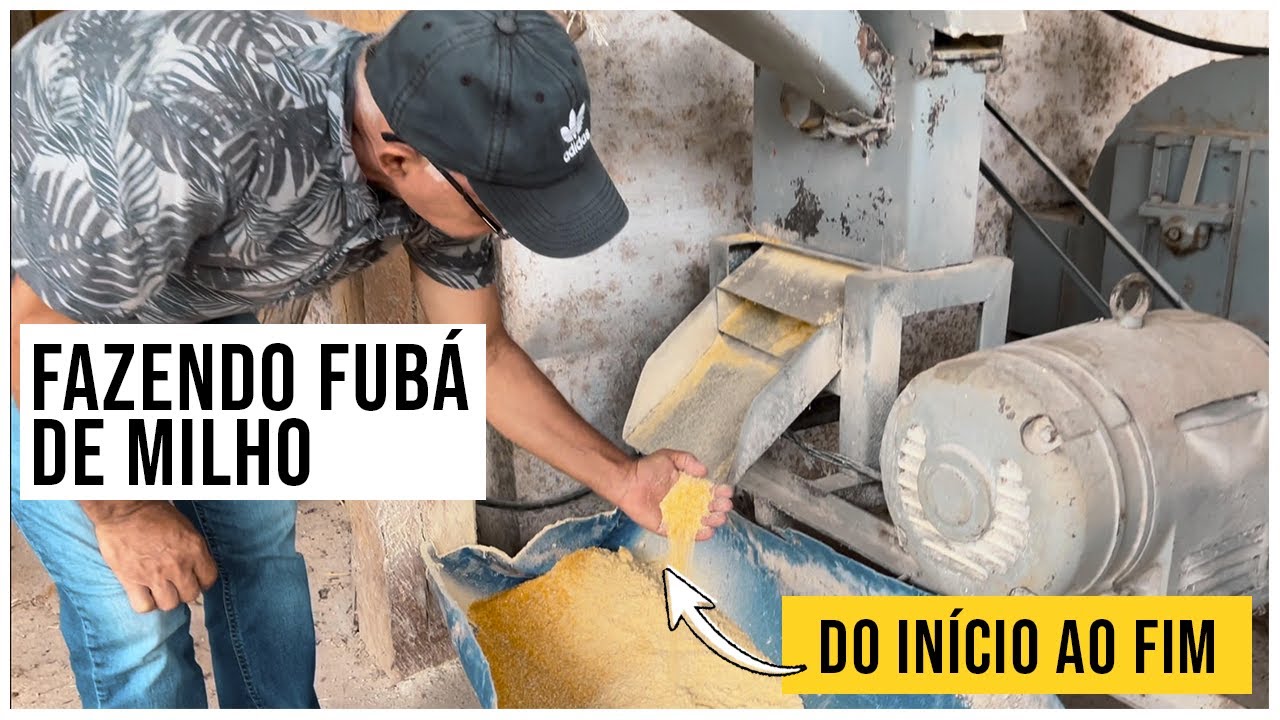 Fubá:  Processo de Moagem do Milho até o Fubá | 🚜 Roça Com Carvalho