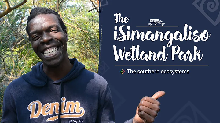 iSimangaliso Wetland Park: Southern Ecosystems with Sakhile Dube - DayDayNews