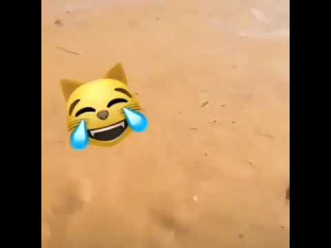 ونا النقها غرقاناه