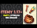 WSZYSTKO co MUSISZ WIEDZIEĆ o ITEMACH 1.17+ | Minecraft