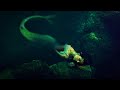 Deep Sleep Sea Music | Mermaid, Siren, Relaxing Sounds, Sleep Sounds, Meditation | 10 Hours