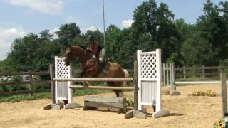3'6 Bareback Jump on Montanaaaa