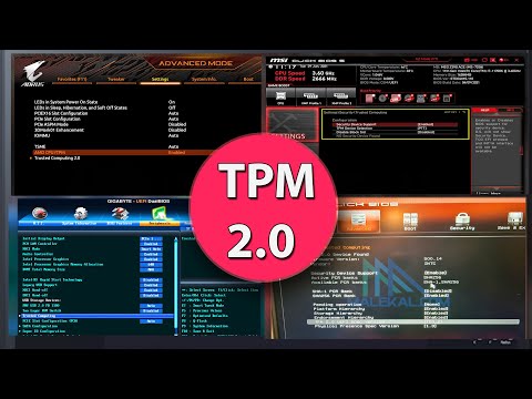 Enable TPM 2.0 In Various Types Of Motherboards (MSI, Asus, Gigabyte) For Intel and AMD Platform✌