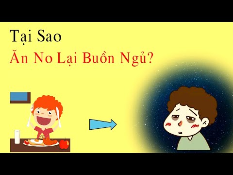 Video: Tại Sao Bạn Muốn Ngủ Sau Bữa Tối