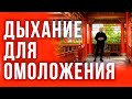 Дыхание змеи. Омоложение и внутренний баланс. Константин Перо. Академия Целителей