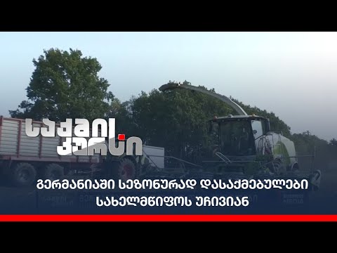 გერმანიაში სეზონურად დასაქმებულები სახელმწიფოს უჩივიან