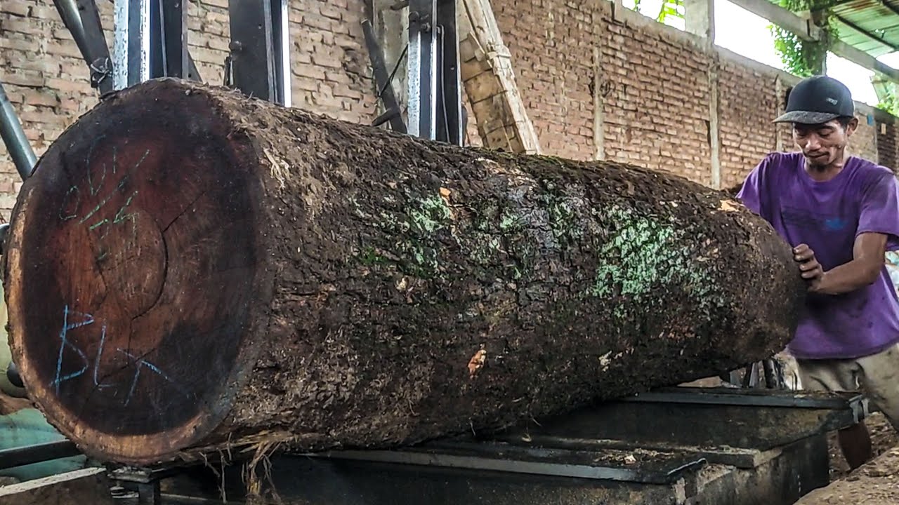 Timber Mill Innovations in Glasgow for Trembesi Wood - YouTube