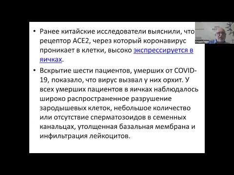 Ковид - 29.06.2020