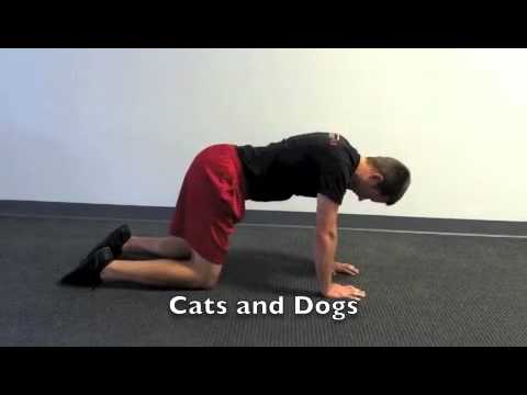 exercise 14.1 class 11 Daily Balance - Beginner 1.m4v