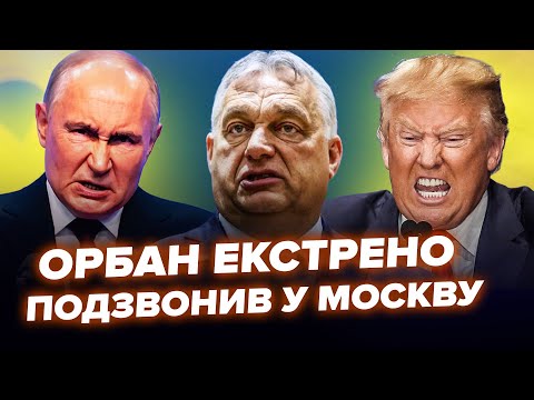 🔥Україна поставила Орбана на місце! Зеленський вийшов із різкою заявою. КРАЩЕ