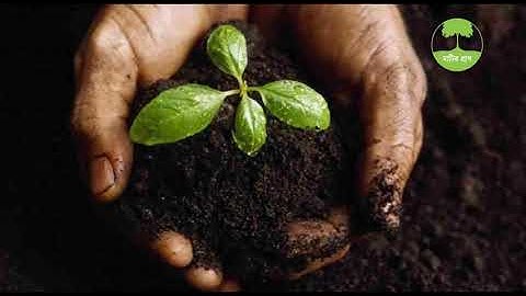 Farmers Friendly Digital Portable soil Testing Device