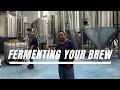 Fermenting your brew  nepali brewboy