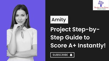 Amity Project Step by Step Guide to Score A+ Instantly! | Studylivezone