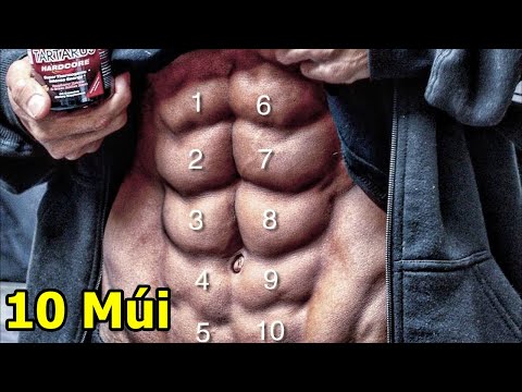 Video Kinh Dị Bụng 10 Múi | Tại Sao Lại Có Cơ Bụng 10 Múi ,... - youtube
