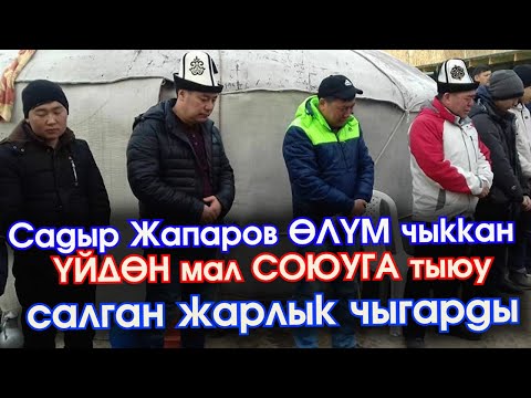 Video: Мөөр жабылган чиркегичтеги лампочканы кантип алмаштырса болот?