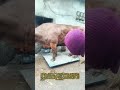 巨大牛の正確な体重測定プロセス：農場の計量器で巨大なリムーザン種の雄牛を計量する方法