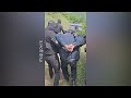 Сербия арестовала трёх косовских полицейских, обвинив их в незаконном пересечении границы