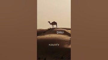 سورةُ المعارج