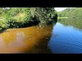 Do you like tea? Tea lake in Smolkino, Racheysky Bor, Samara region! Travel across Russia on foot.