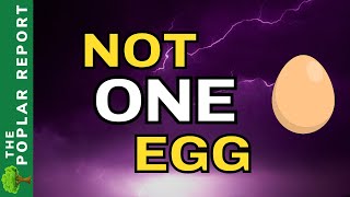 🚨🚨Food Shortages Appearing- Watchmen Updates