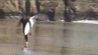 Lost.tv - Chris Ward, Cory Lopez, Ryan Carlson And Others