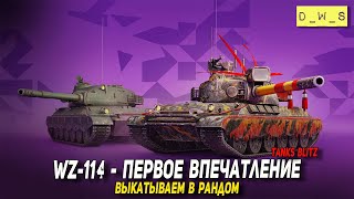 WZ-114 - первое впечатление в 2023 Tanks Blitz | D_W_S