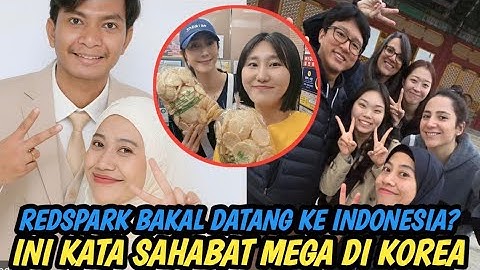 Redsparks Bakal Datang Ke Indonesia? Pemain Voli Korea Jung Ho-Young Di Undang Ke Pernikahan Mega