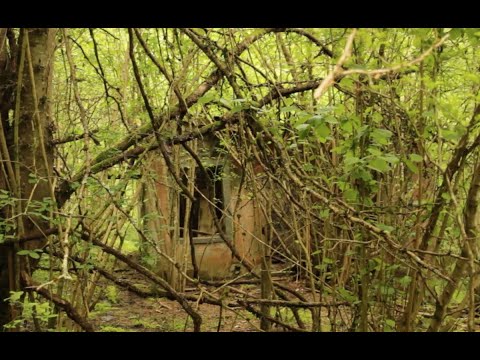 Про опустевшие грузинские села в Абхазии