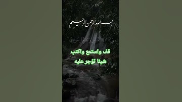 تلاوة خاشعة ومؤثرة بصوت جذاب ومؤثر #القرآن_الكريم #تلاوة_مؤثرة #تلاوة_خاشعة #تيك_توك #اكسبلور