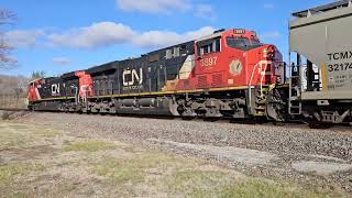 CN B730