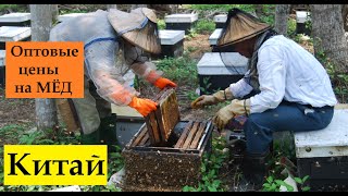 Оптовые цены на мёд в Китае и причины их роста