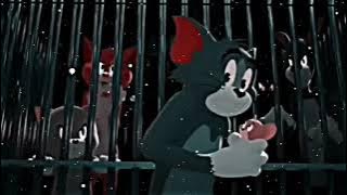 Tom and Jerry 🥰❤️ | WhatsApp status