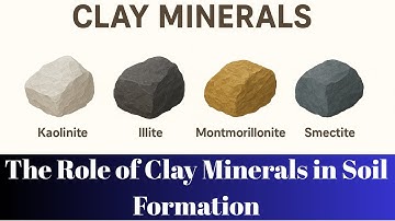 Clay Minerals and Soil Formation: The Hidden Key to Fertile and Sustainable Soils