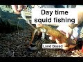 How to CATCH SQUID, land based fishing.