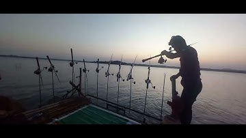 Ngày câu cá lóc đêm câu thác lác cườm thật phê tại sông ray