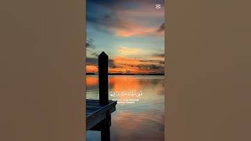 #قران_كريم #تلاوة_خاشعة ✨#راحة_نفسية ♥️#القارئ ماهر المعيقلي #قرآن #من سورة ــ هود # ايآت جميلة 🤎💐#🕌