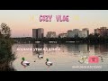замедленная жизнь ~ повседневная жизнь удалёнщицы ~ кормление уток