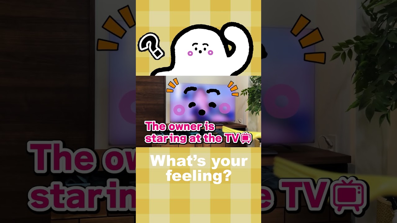 What's Your Feeling?14