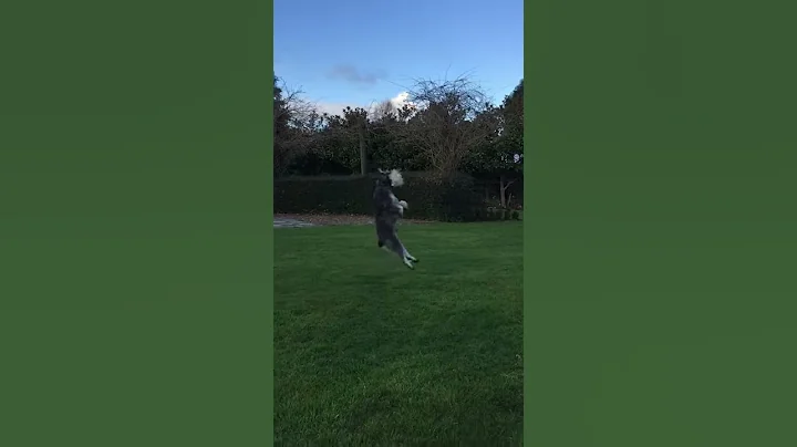 The ultimate ball catcher