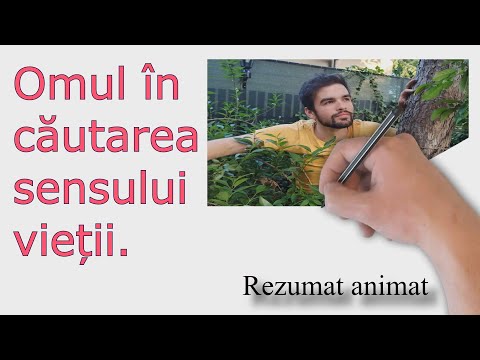 Video: CURAJUL ȘI PLĂCEREA VIEȚII (lectura Mea A Cărții Lui V. Frankl „Spune Da Vieții!”