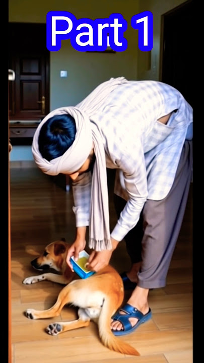 يَـٰعِبَادِىَ ٱلَّذِينَ ءَامَنُوٓا۟ إِنَّ أَرْضِى وَٰسِعَةٌۭ فَإِيَّـٰىَ فَٱعْبُدُونِ❤🤲