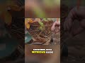 Climate Action: Healthier Soils &amp; Less Fertilizer!