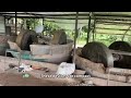 Small Scale Gold Mining Processing Line#gold#mining#machine#shaking table#jaw crusher