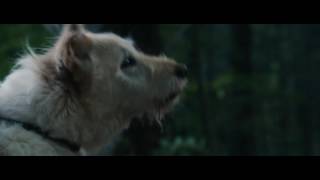 Оно приходит ночью / It Comes at Night (2017) - Трейлер / Trailer Оно приходит ночью / It Comes at Night (2017) - Трейлер / Trailer