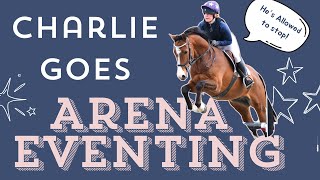 My 5 Year Old Horses Arena Eventing Debut!