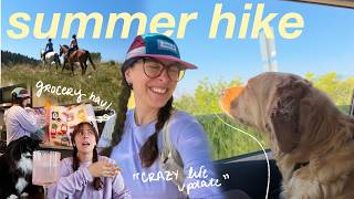 a summer hike with the pups 🌞🥾 + a grocery haul and life update!